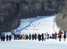 【春节篇】哈尔滨、亚布力滑雪、太阳岛雪雕、冰雪大世界、梦幻雪乡、双飞五日游