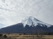 【金秋十月】日本东京大阪奈良双飞6日游