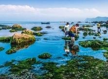 长岛大黑山岛龙爪山景区一日游（每周六、日发）