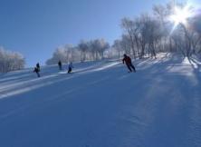 冬奥会崇礼滑雪·坝上雪原·森林温泉·金山岭长城5日跟团游