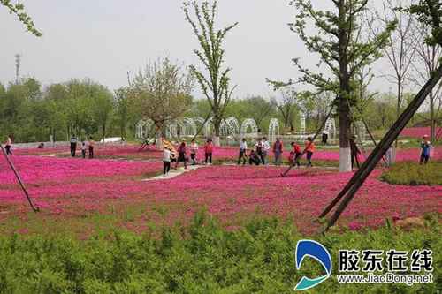 五一小长假11万人次游莱山 文旅特色产品受青睐