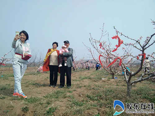 与桃花合个影