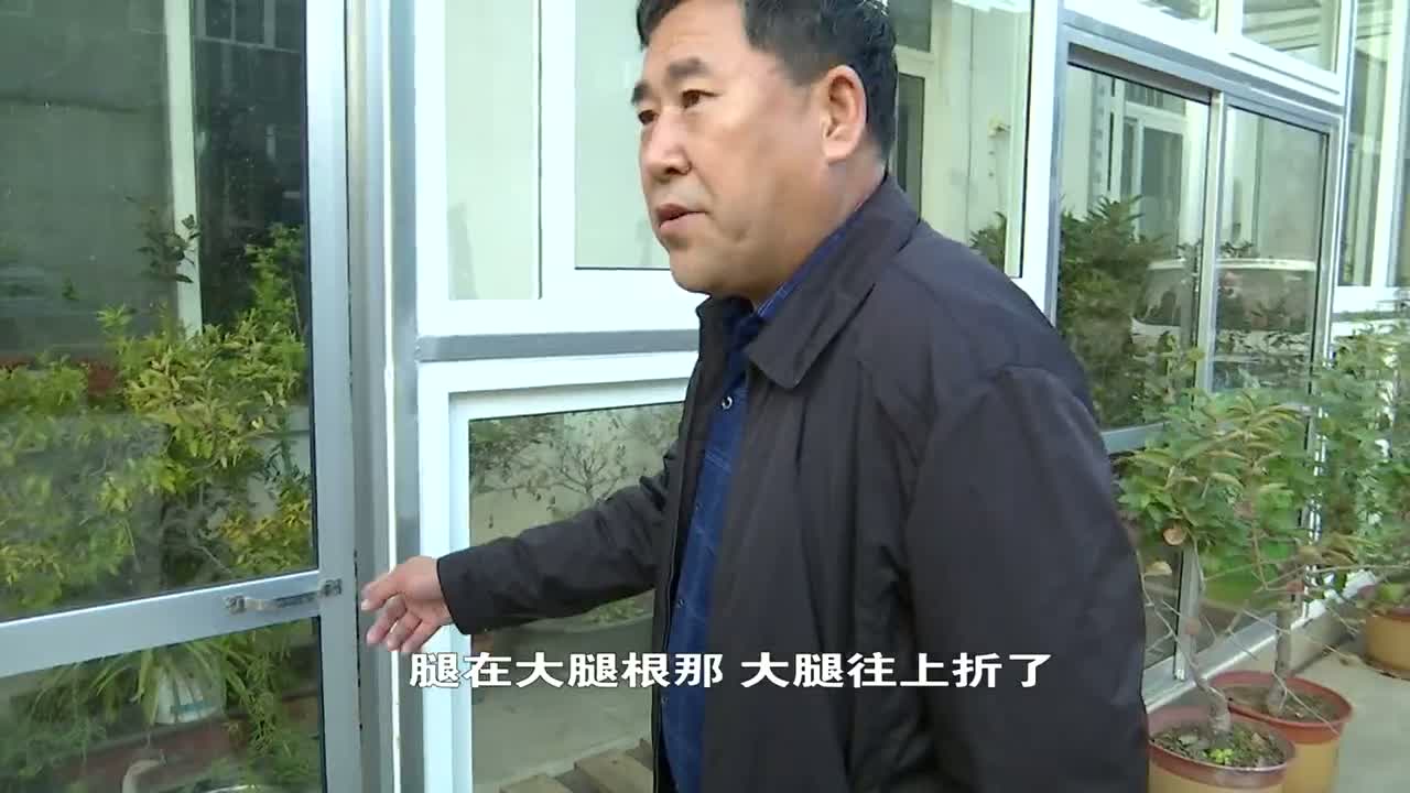 离群的大雁受伤遗落烟台一隅 南山公园正在进行救治