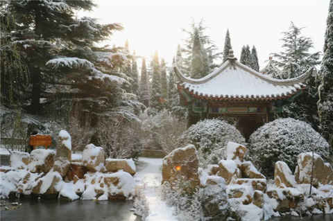 烟台旅游故事十六期| 冬恋·南山：领略穿越数百年的相念相思