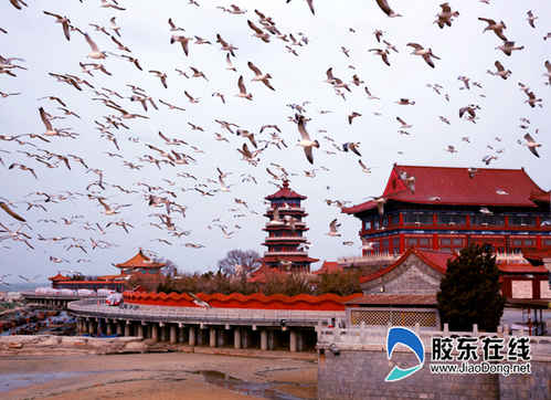 八仙过海景区千鸥翔集