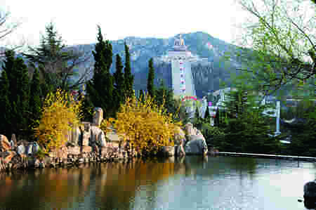 清明时节赏春景 龙口南山处处好风光