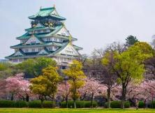 【四月游日本】日本东京、箱根、富士山、奈良、京都、大阪花漾和风双飞六日游