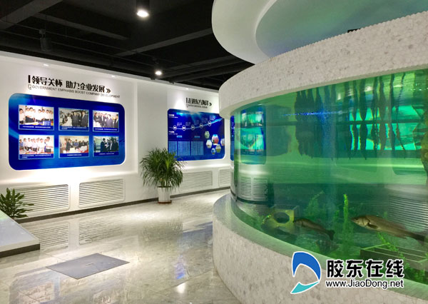 媒眼看烟台：东方海洋“放牧”烟台海 引领现代渔业建设