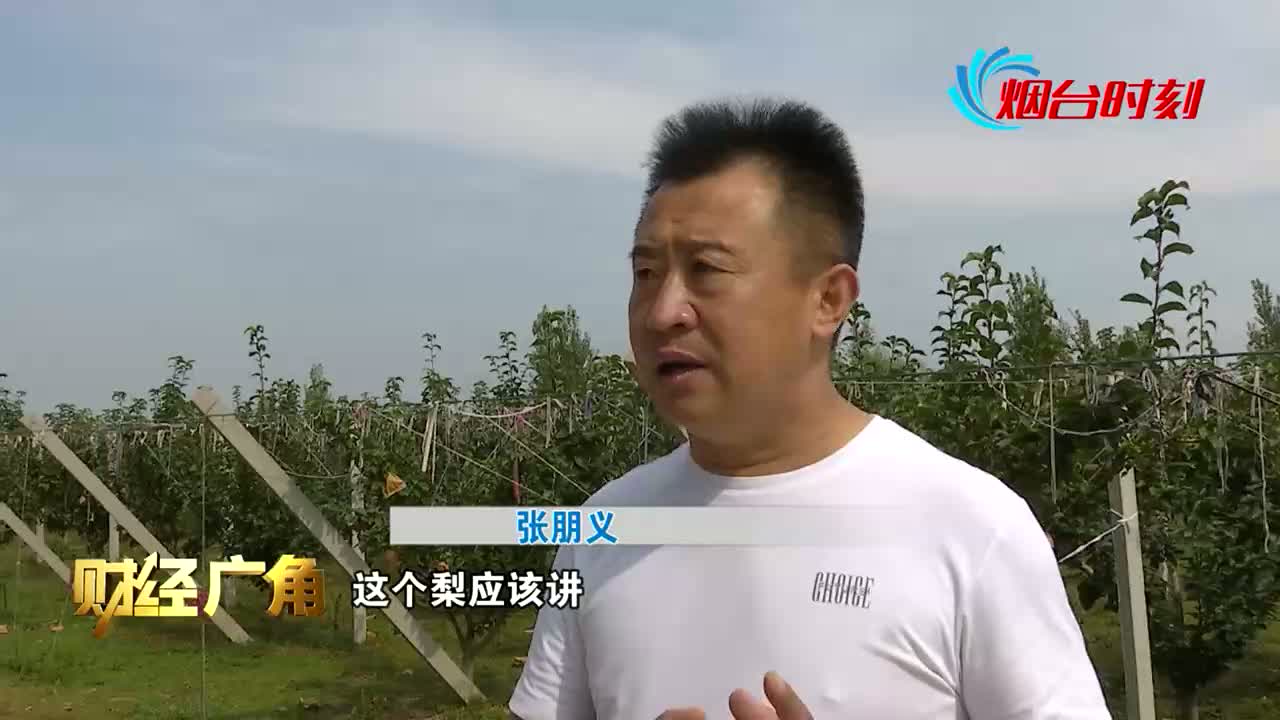 金秋十月：秋月梨迎来丰收 农户赚得满心欢喜