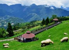 【嘉华旅游】台湾美食美景环岛八日游（烟台起止 独立成团）