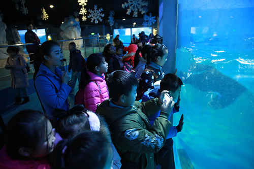 蓬莱海洋极地世界“奇妙夜” 仰望鱼群浪漫入眠