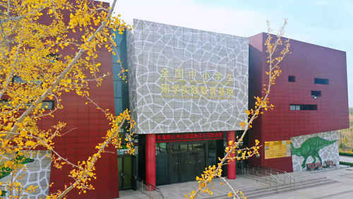 冬游烟台“博物馆奇妙夜”开启 “探秘白垩纪，发现恐龙”新玩法