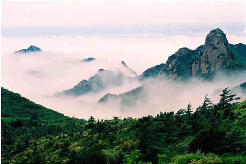 它从千年前走来