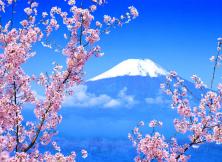 日本双飞6日游