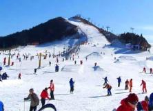 海阳林山滑雪场一日游
