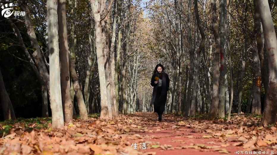 烟台印象·初冬∶冬日的暖阳 温暖入心