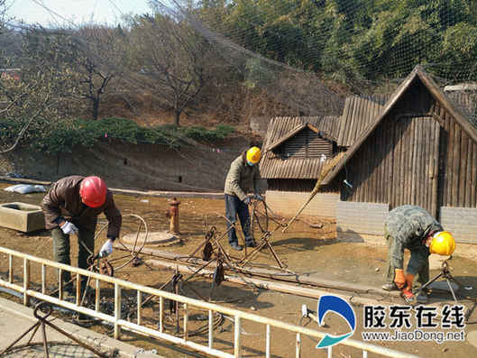 南山公园百鸟园围网整体换网工程3月21日启动
