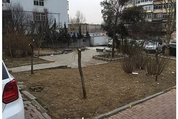 赏花纳凉 芝罘区10处口袋公园建设方案出炉(图)