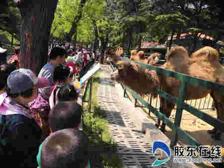 五一假期南山公园真热闹 4天共接待游客20万人次