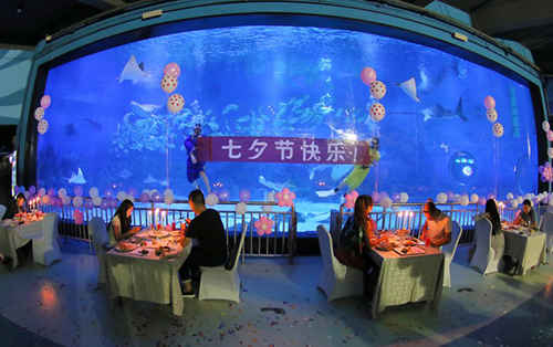 鲸鲨海洋公园七夕海底晚宴浪漫来袭 限量17桌抢订预购中