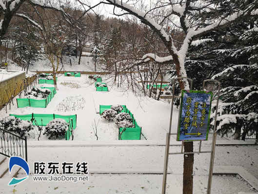 烟台南山公园为游客免费提供赏雪、玩雪区