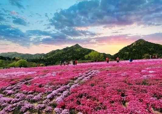 烟台旅游故事十七期| 2018烟台旅游，讲述我的见证