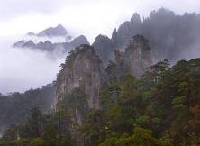 黄山之旅---- 黄山、西递、木坑竹海特色双飞四日游