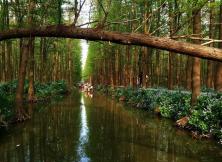 【春节假期】寻味瘦西湖、祈福大明寺、皮包水早茶精品大巴三日游