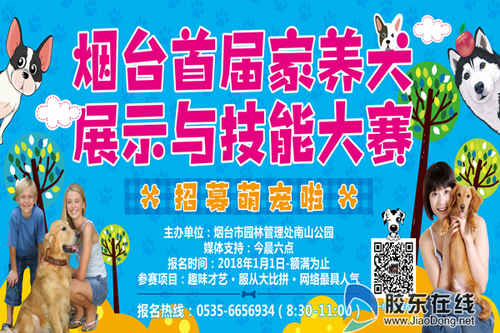 赢动物园畅玩年卡 南山公园春节期间将举办犬类趣味大赛