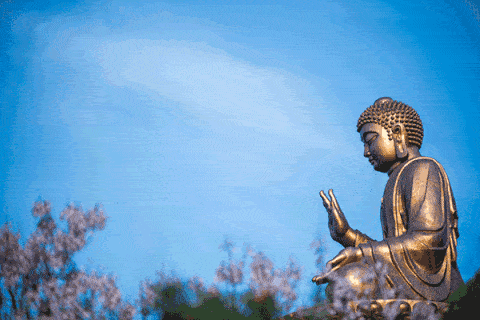 清明赏花觅春 南山听禅养心