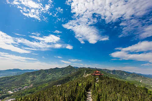 烟台旅游故事②| 春韵·南山故事：这里花开正好 静候佳人