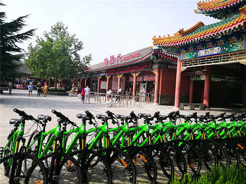 龙口南山景区有共享单车啦 旅游度假更方便