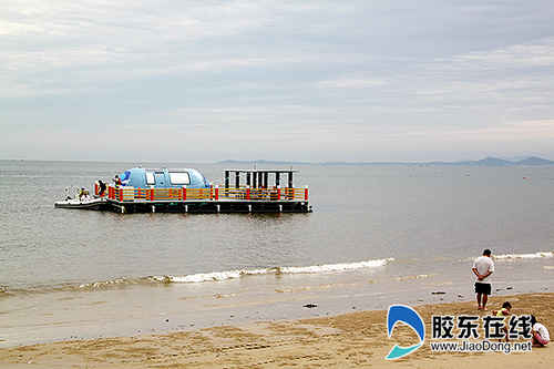 清泉集团 “海豚号”海上平台顺利下海 领衔海洋牧场亲海游