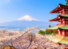 【4月游日本】大阪、京都、奈良、东京、富士山嗨游日本半自助六日游
