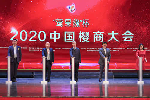 “莺果缘”杯2020中国樱商大会在烟台开幕1
