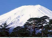 【嗨游本州1】 东京大阪京都富士山 温泉双飞6日游