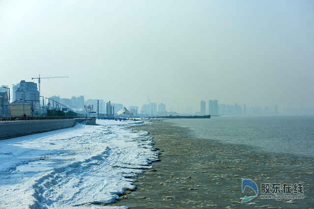 网友实拍：冰封的海湾 烟台海边现海冰景观(图)