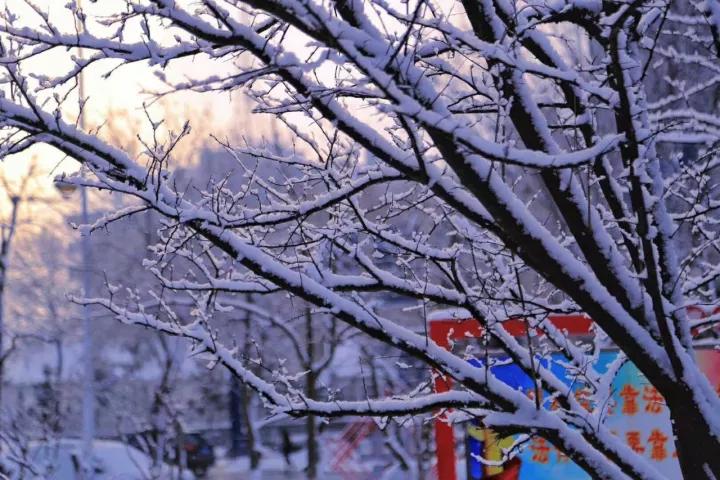 牟平雪景刷爆朋友圈 “雪窝子”终于实至名归