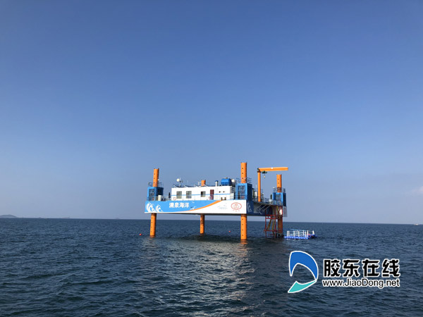 烟台打造复合型海洋牧场 奏响海上“田园牧歌”